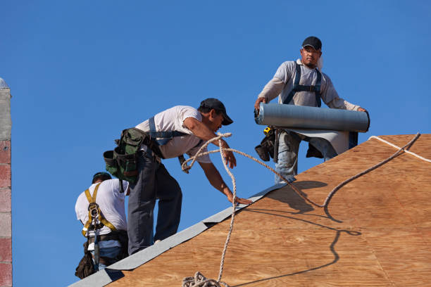 Best Roof Gutter Cleaning  in Hurstbourne, KY